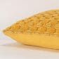 Rizzy Home 20" x 20" Transitional Down Filled Throw Pillow in Yellow, , large