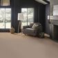 Anderson Tuftex Finery Carpet in Pebble Path, , large