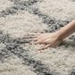 Safavieh Dallas Shag SGD258F-4 4" x 6" Ivory/Grey Area Rug, , large