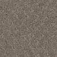 Anderson Tuftex West Fork Carpet in Riverbank, , large