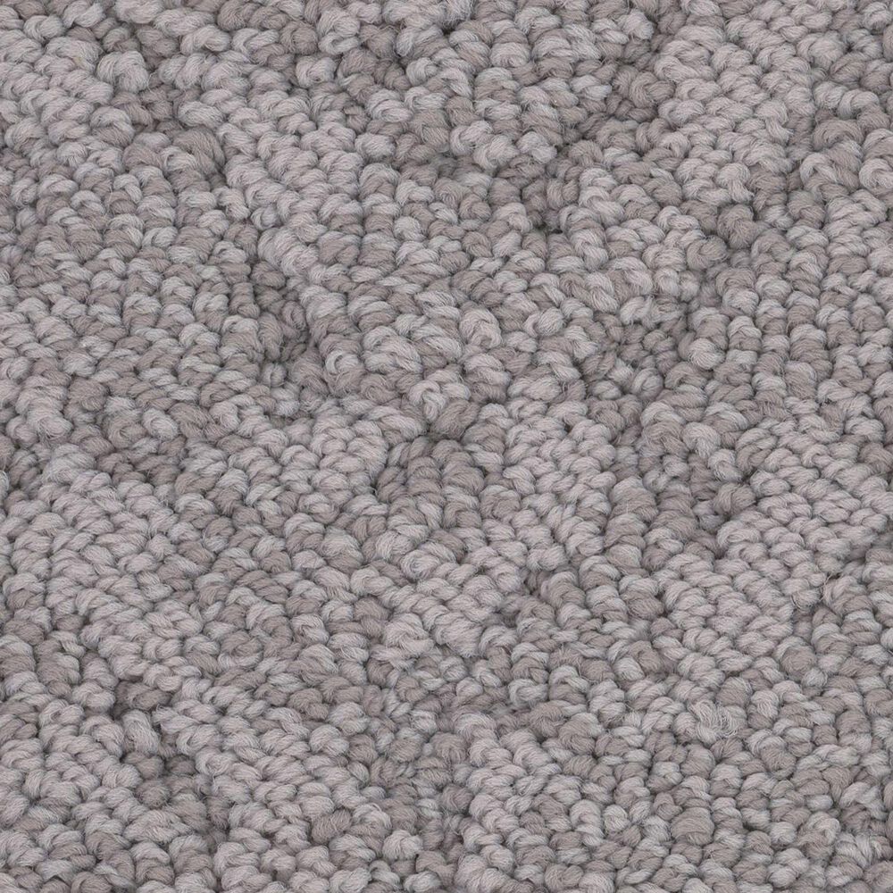 Anderson Tuftex Lavish Living Carpet in Grounded Gray, , large