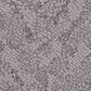 Anderson Tuftex Lavish Living Carpet in Grounded Gray, , large