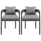 Blue River Argiope Outdoor Dining Chair in Dark Gray (Set of 2), , large