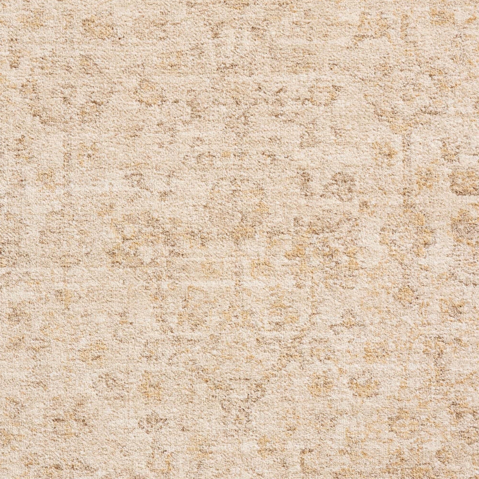 Chris Loves Julia x Loloi Palma Ivory and Sand 6'3
