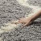 Safavieh Dallas Shag SGD257G-10 10" x 14" Grey/Ivory Area Rug, , large