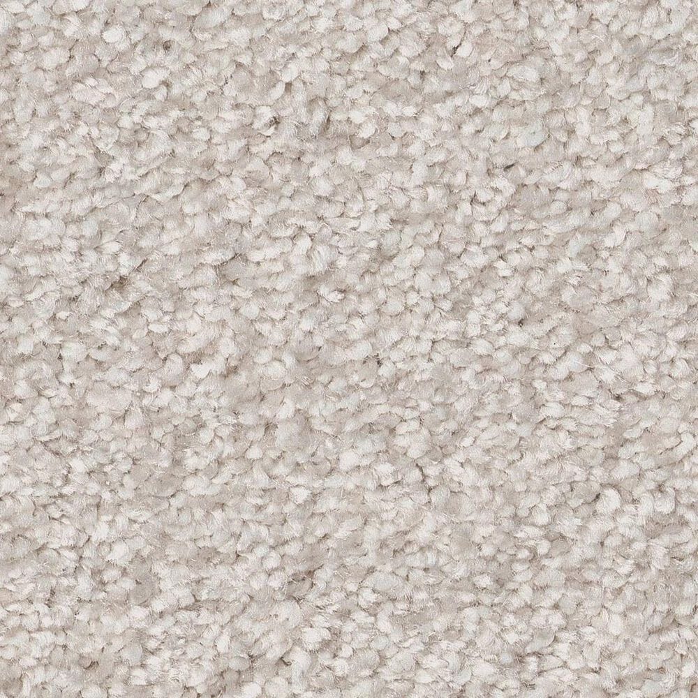 Shaw You Got This III Carpet in Snowfall, , large