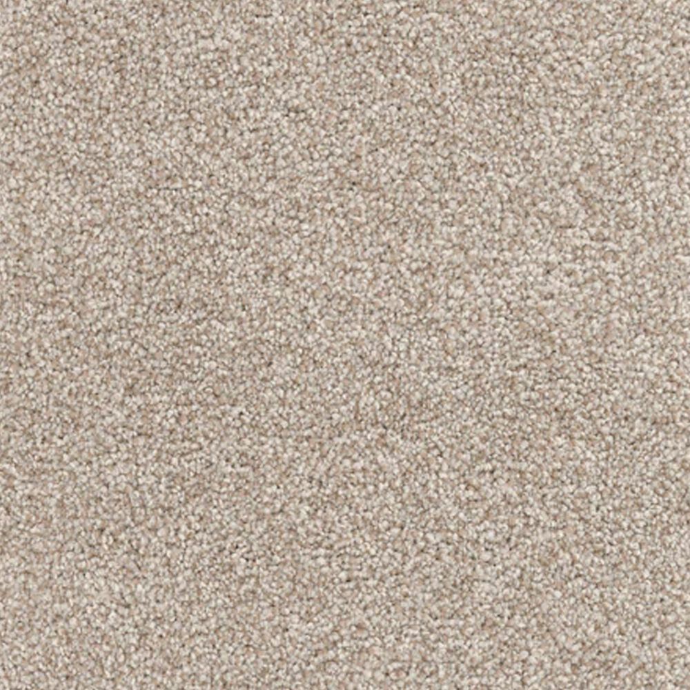Dixie Home Maverick Carpet in Spaniel, , large