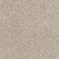 Dixie Home Maverick Carpet in Spaniel, , large