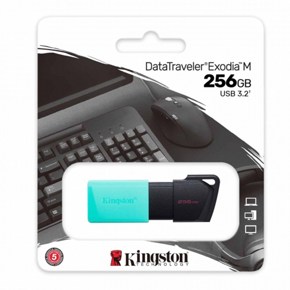 Kingston Technology DataTraveler Exodia M 256GB USB 3.2 Gen 1 Flash Drive in Red, , large