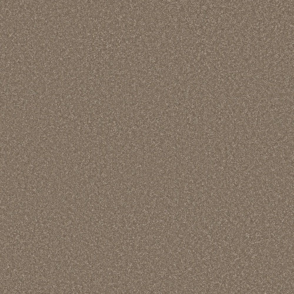 Shaw Bold Move Plus Carpet in Boardwalk, , large