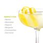 True Brands Coupe Cocktail Glasses in Clear (Set of 4), , large
