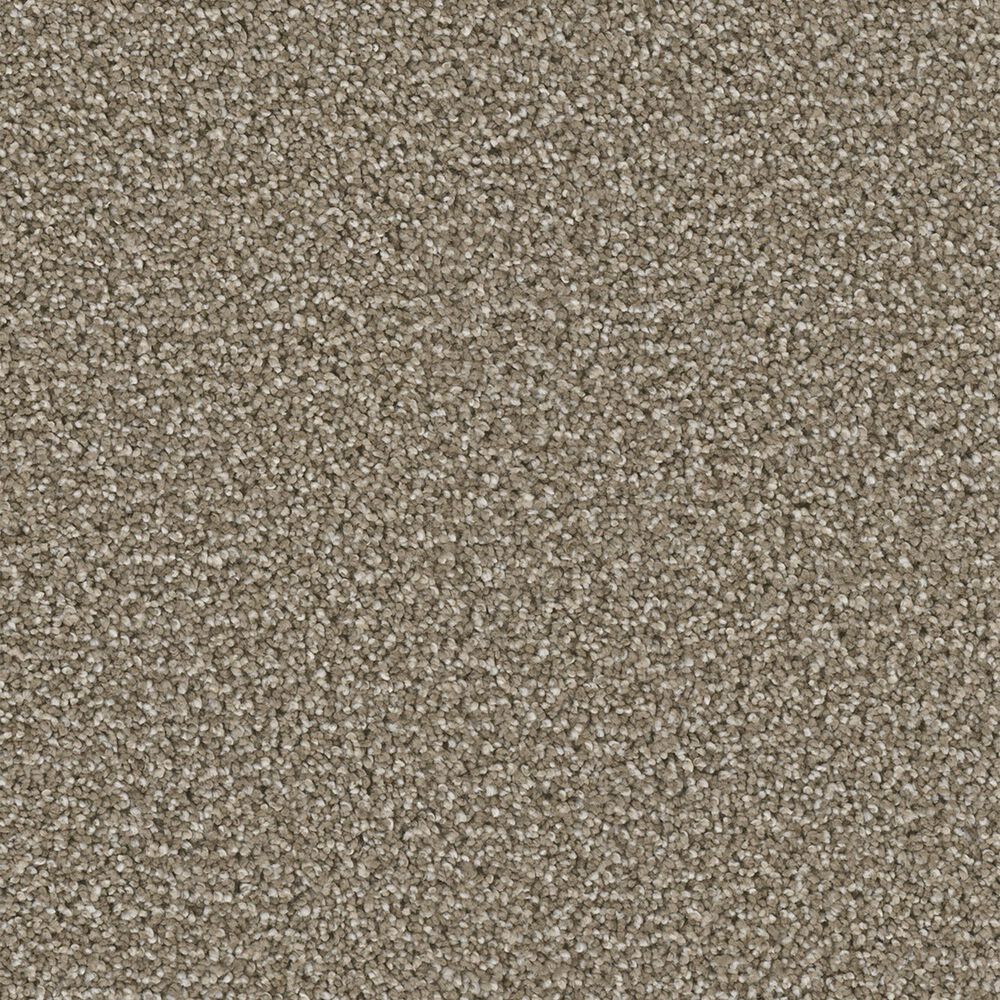 Dream Weaver Cosmopolitan Carpet in Wynwood, , large