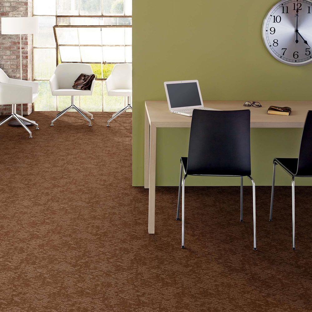 Anderson Tuftex Caress Free Spirit Carpet in Sunbaked, , large