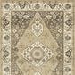 Oriental Weavers Florence Evanston 661I 5"3" x 7"6" Beige Area Rug, , large