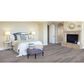 Tarkett ProGen 7" x 48" Luxury Vinyl Plank in Cerused Oak Powder, , large
