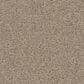 Anderson Tuftex Finery Carpet in Crisp Khaki, , large