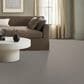 Anderson Tuftex Chit Chat Carpet in Nightingale, , large