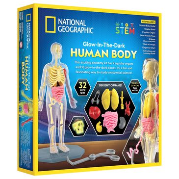 National Geographic Glow-In-The-Dark Human Body Interactive Anatomy Toys, , large