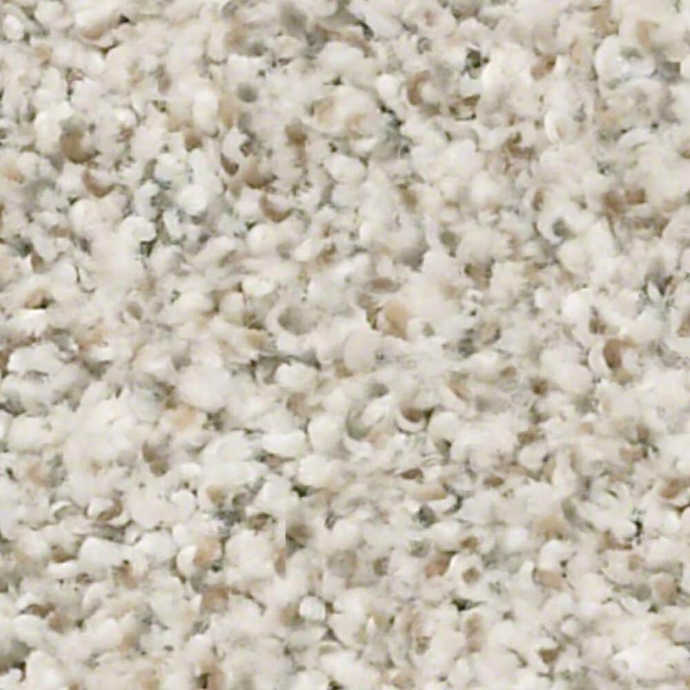 Shaw Make It Work Carpet in Scenic Drive, , large