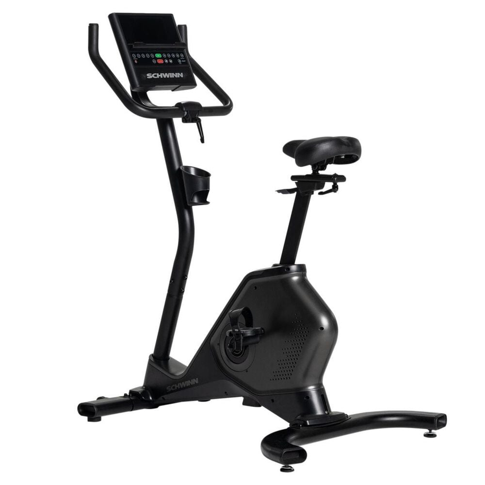 Schwinn 190 Upright Bike, , large