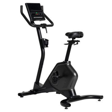 Schwinn 190 Upright Bike, , large