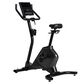 Schwinn 190 Upright Bike, , large