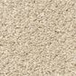Shaw Phenomenal Carpet in Winter White, , large