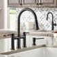 Blanco Empressa Pull-Down Faucet in Oil Rubbed Bronze, , large