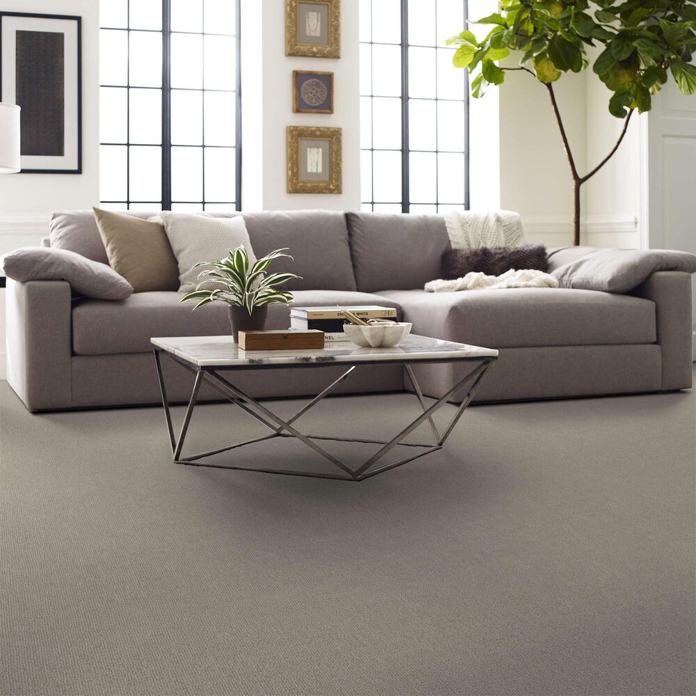 Shaw Sierra Vista Carpet in Quiet Moment, , large