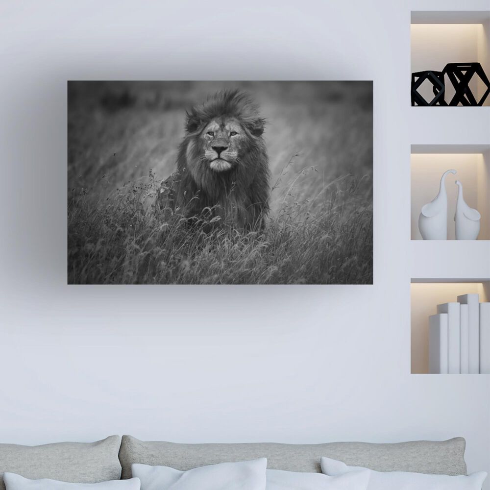 Timberlake Mohammed Alnaser &#39;Lion King&#39; 12&quot; x 19&quot; Canvas Art in Grey/Black, , large