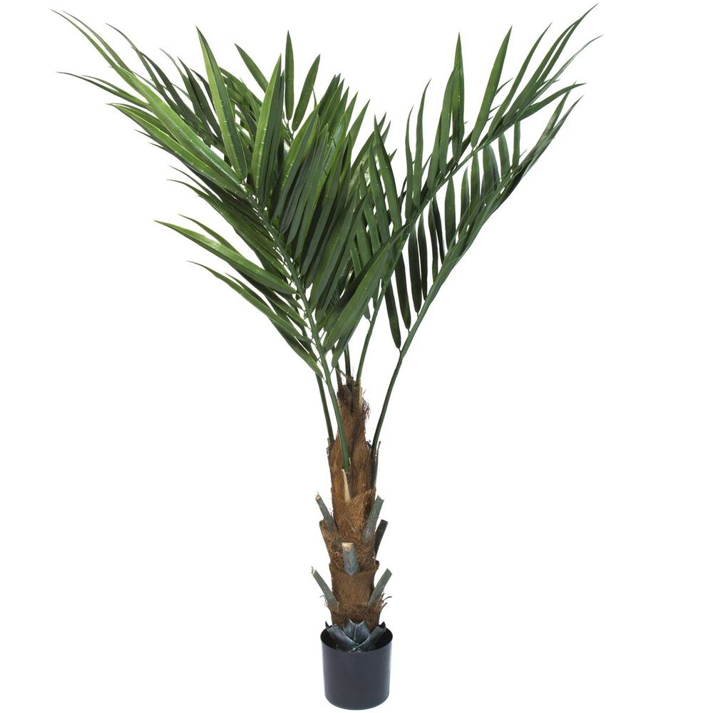 Timberlake Pure Garden 60" Kentia Palm Tree, , large
