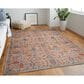 Feizy Rawlins 3"11" x 6" Beige and Multicolor Area Rug, , large