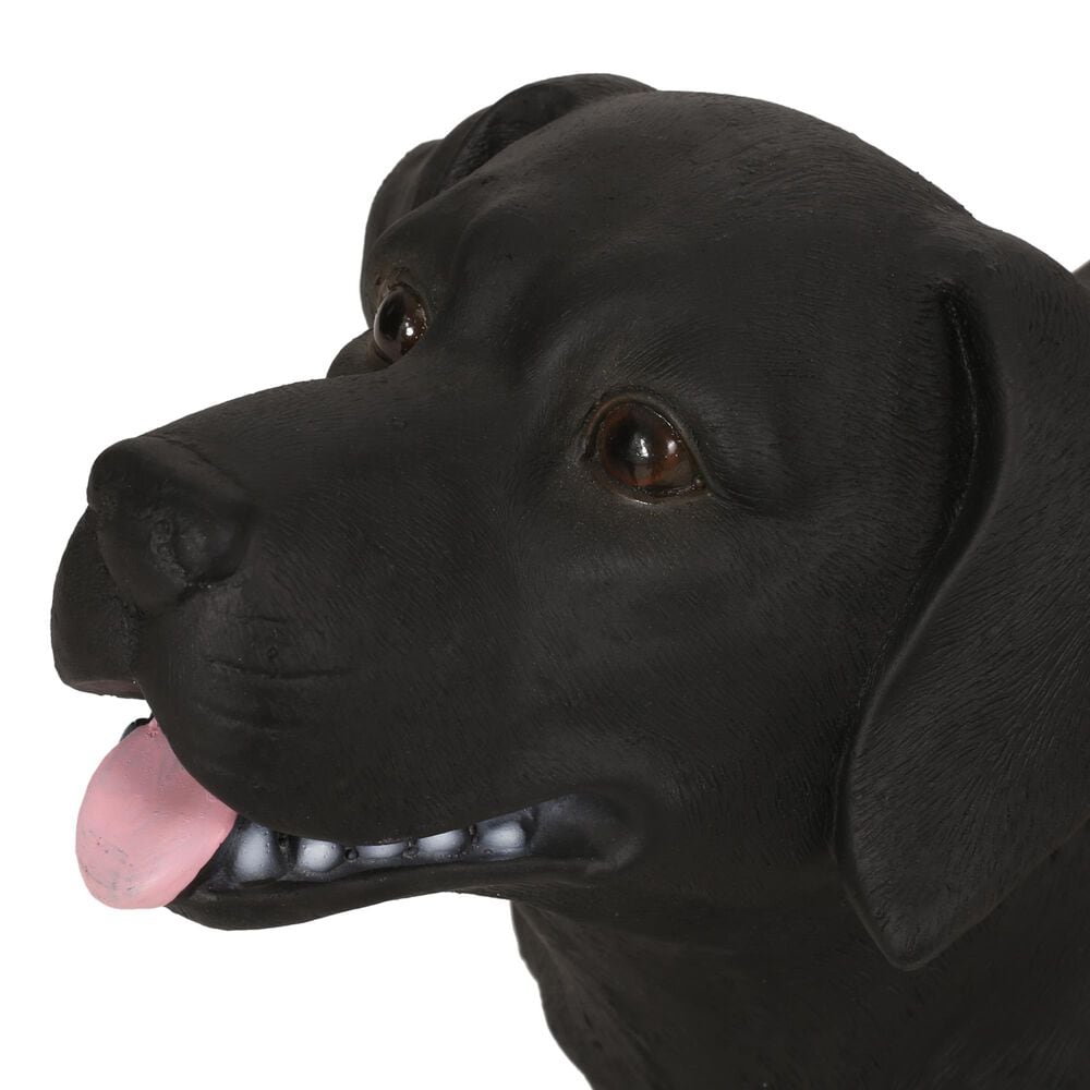Hearth and Haven Outdoor MGO Dog Bench in Matte Black, , large