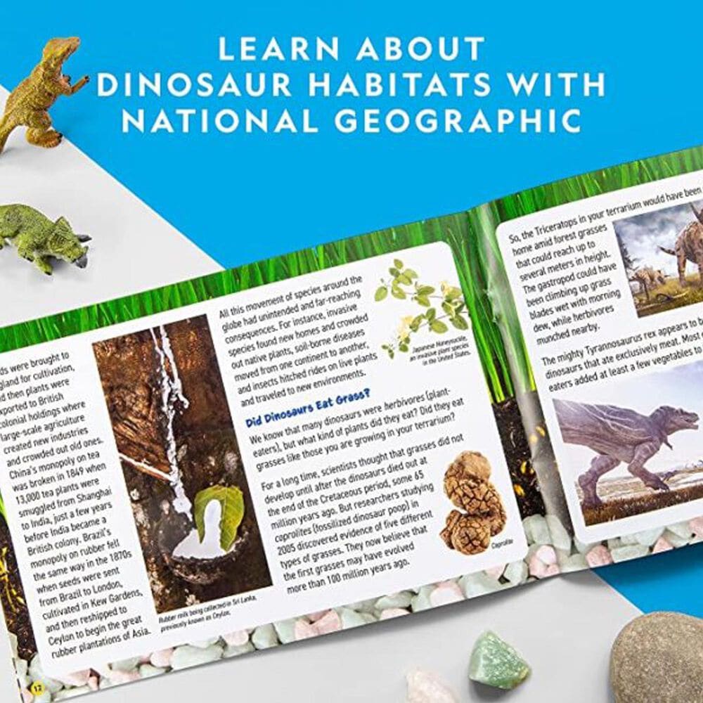 National Geographic Dinosaur Habitat Light-Up Terrarium Kit, , large