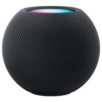 Voice Assistants