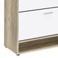 Coaster Denia 3-Tier Shoe Cabinet in Antique Pine and White, , large