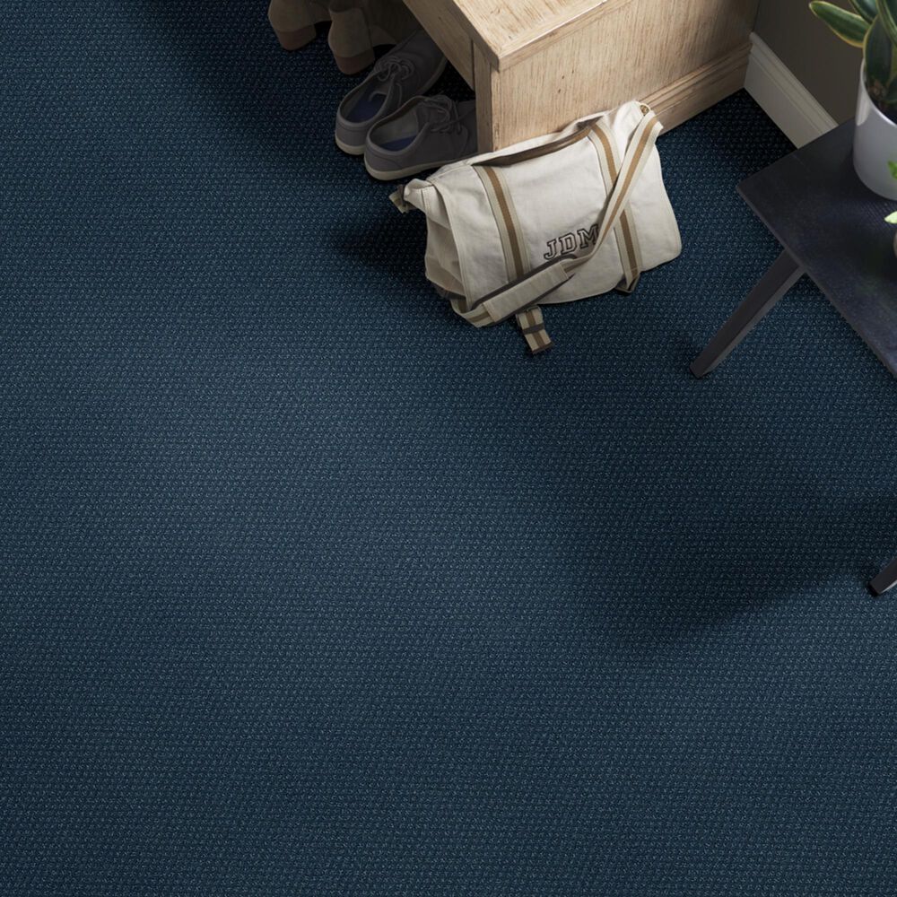 Shaw Foundations Infallible Instinct Carpet in Modern Spaces, , large