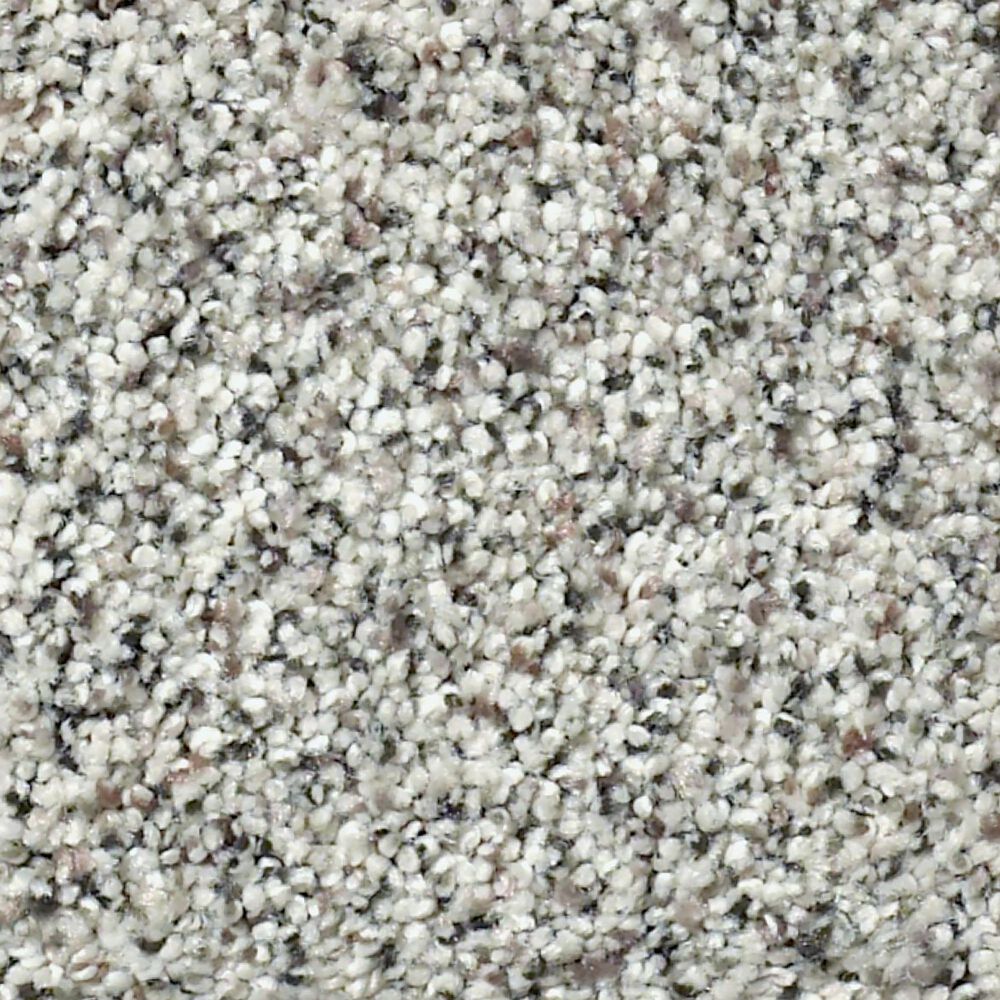 Shaw Find Your Comfort TA II Carpet in Cocktail Hour, , large