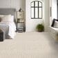 Anderson Tuftex Loom Carpet in Irish Cream, , large