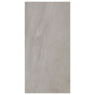 Dal-Tile Wanderwise Roam 12" x 24" Porcelain Tile, , large