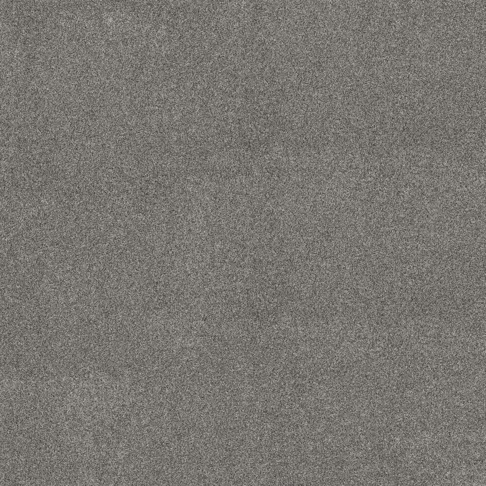Shaw Pet Perfect Bold Move Carpet in Rock Crystal, , large