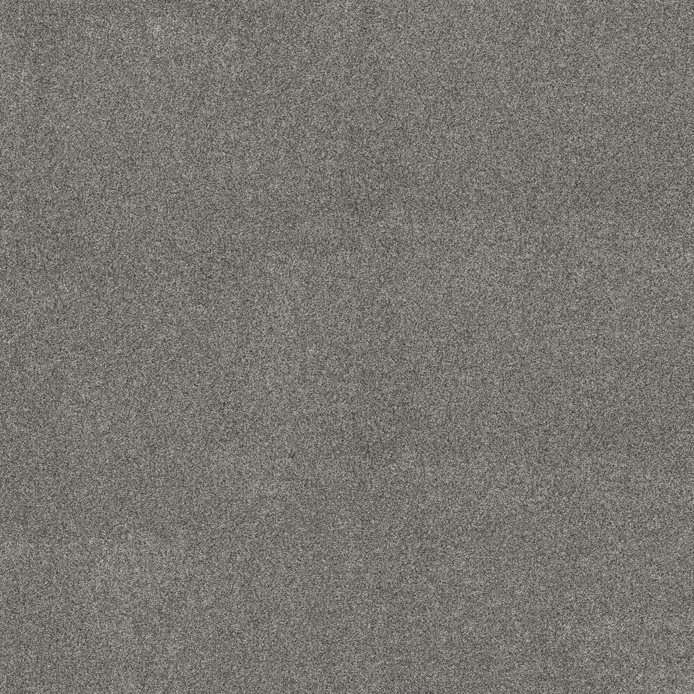 Shaw Pet Perfect Bold Move Carpet in Rock Crystal, , large