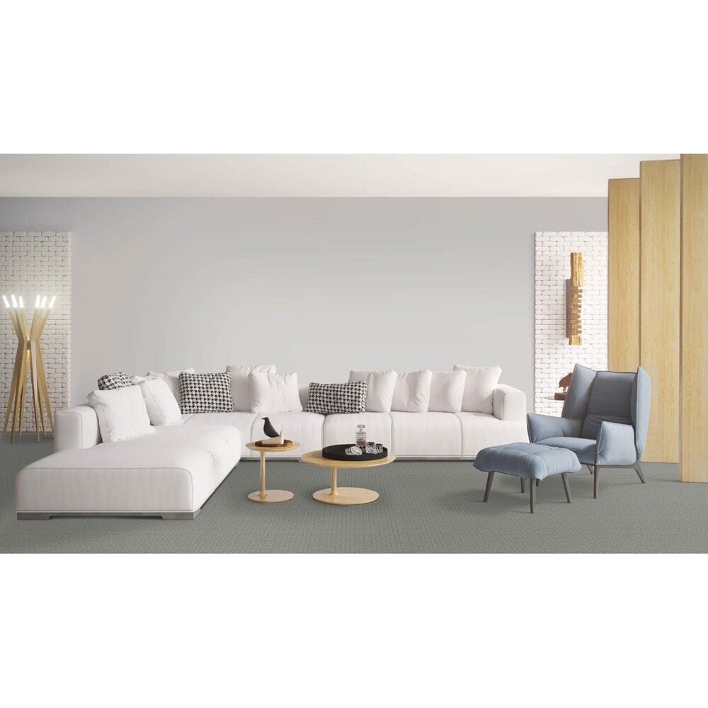 Dixie Home Affinity Carpet in Quarry, , large