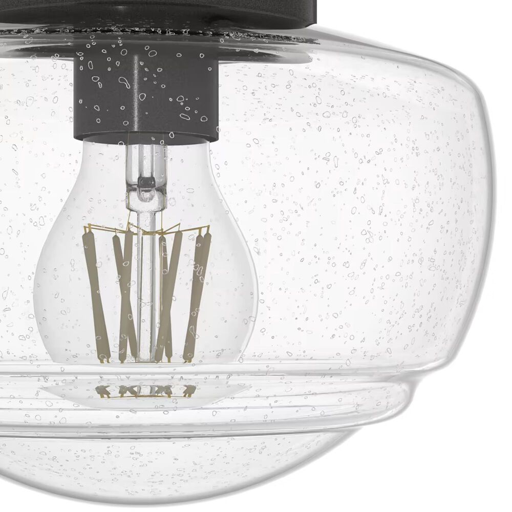 Hunter Saddle Creek 1-Light Mini Semi Flush with Clear Seeded Glass in Noble Bronze, , large