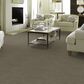 Anderson Tuftex Matisse Carpet in Intrigue, , large