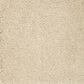 Mohawk Pleasant Touch Carpet in Frosted Almond, , large