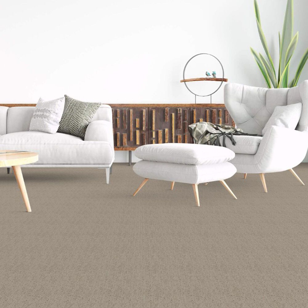 Dixie Home Worthington Carpet in Burnish, , large