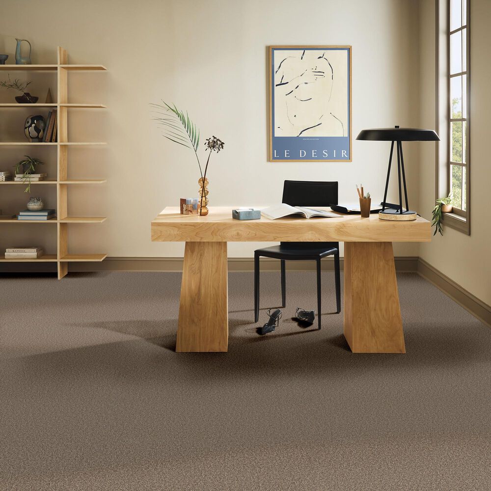 Anderson Tuftex Wyndham Estate Carpet in Smokehouse, , large