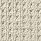 Anderson Tuftex Cabo Cove Carpet in Plymouth, , large