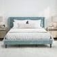 Richlands Furniture Demore King Platform Bed with Light Aqua Blue Upholstery in Black, , large
